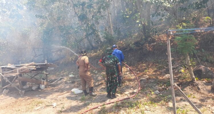 FOTO 4 Agustus_Petugas gabungan memadamkan kebakaran hutan dan lahan di Desa Sabbang Paru, Kecamatan Lembang, Kabupaten Pinrang, Sulawesi Selatan. bpbdkab