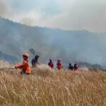 FOTO 6 Agustus_Tim gabungan memadamkan api menggunakan gepyok dan sprayer di Kecamatan Sukapura, Kabupaten Probolinggo, Jawa Timur. bpbdprov