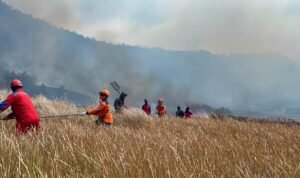 FOTO 6 Agustus_Tim gabungan memadamkan api menggunakan gepyok dan sprayer di Kecamatan Sukapura, Kabupaten Probolinggo, Jawa Timur. bpbdprov