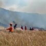 FOTO 6 Agustus_Tim gabungan memadamkan api menggunakan gepyok dan sprayer di Kecamatan Sukapura, Kabupaten Probolinggo, Jawa Timur. bpbdprov