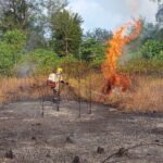 FOTO 7 Agustus_Kebakaran hutan dan lahan (karhutla) di sejumlah wilayah Indonesia. dok. bnpb INI