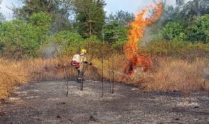 FOTO 7 Agustus_Kebakaran hutan dan lahan (karhutla) di sejumlah wilayah Indonesia. dok. bnpb INI