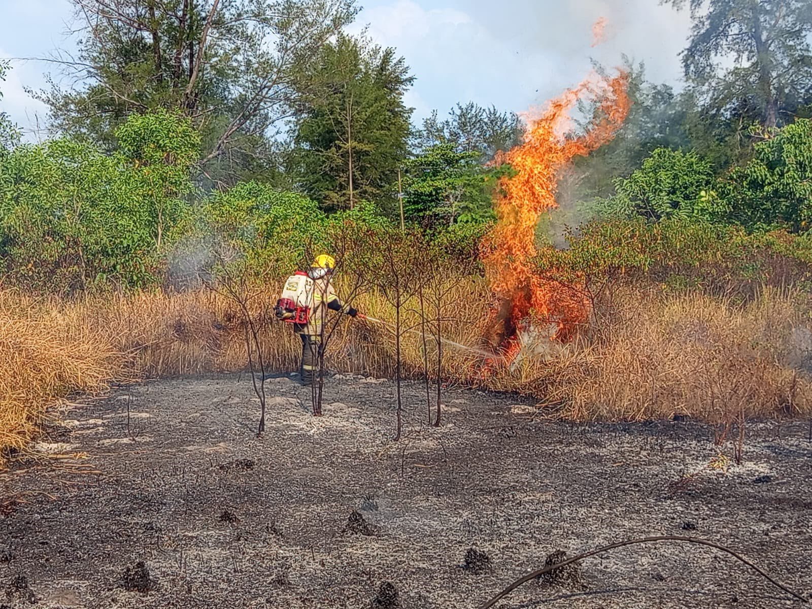 FOTO 7 Agustus_Kebakaran hutan dan lahan (karhutla) di sejumlah wilayah Indonesia. dok. bnpb INI