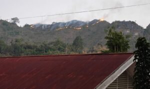 FOTO 7 Agustus_Kebakaran hutan dan lahan melanda wilayah Kabupaten Tana Toraja, Provinsi Sulawesi Selatan. bpbdkabupatentanatoraja INI