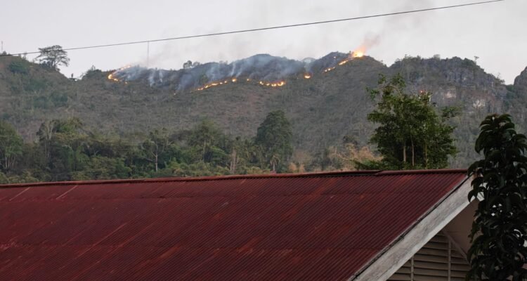 FOTO 7 Agustus_Kebakaran hutan dan lahan melanda wilayah Kabupaten Tana Toraja, Provinsi Sulawesi Selatan. bpbdkabupatentanatoraja INI