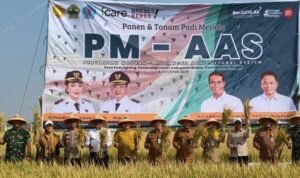 FOTO 7 Agustus_Saat panen padi dengan menerapkan pertanian modern Advanced Agriculture System (PM-AAS). dok. kementan