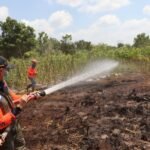 FOTO 8 Agustus_Proses pemadaman lahan terbakar oleh tim gabungan di Desa Limbung, Kecamatan Sungai Raya, Kabupaten Kubu Raya, Kalimantan Barat