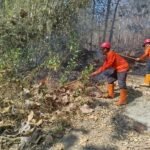 FOTO 9 Agustus_Petugas tengah berupaya melakukan pemadaman api yang membakar lahan di kabupaten Trenggalek, Jawa Timur. bpbdkab
