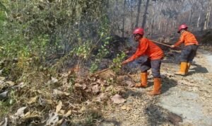 FOTO 9 Agustus_Petugas tengah berupaya melakukan pemadaman api yang membakar lahan di kabupaten Trenggalek, Jawa Timur. bpbdkab