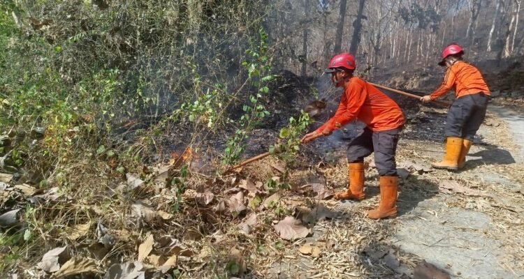 FOTO 9 Agustus_Petugas tengah berupaya melakukan pemadaman api yang membakar lahan di kabupaten Trenggalek, Jawa Timur. bpbdkab