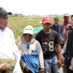 FOTO 1 Sept_Menteri Pertanian (Mentan) Andi Amran Sulaiman bertemu dengan petani di Desa Tegal Sawah. dok.