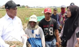FOTO 1 Sept_Menteri Pertanian (Mentan) Andi Amran Sulaiman bertemu dengan petani di Desa Tegal Sawah. dok.