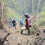 FOTO 10 Sept_Personel BPBD Provinsi Jatim, BPBD Kab. Situbondo dan BKSDA melakukan asesmen dan koordinasi INI