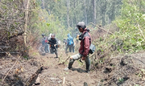 FOTO 10 Sept_Personel BPBD Provinsi Jatim, BPBD Kab. Situbondo dan BKSDA melakukan asesmen dan koordinasi INI
