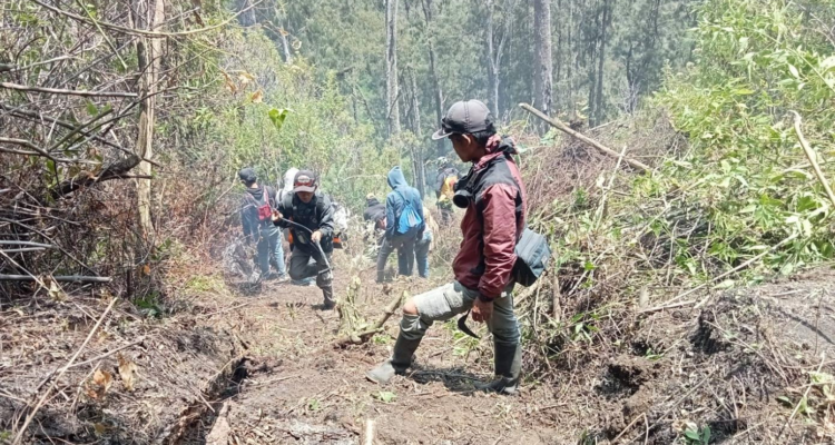 FOTO 10 Sept_Personel BPBD Provinsi Jatim, BPBD Kab. Situbondo dan BKSDA melakukan asesmen dan koordinasi INI
