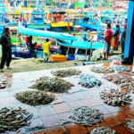 FOTO 10 Sept_Tempat Pelelangan Ikan (TPI) 3 Labuan, Kabupaten Pandeglang, Banten. dok. dinasperikananpandeglang