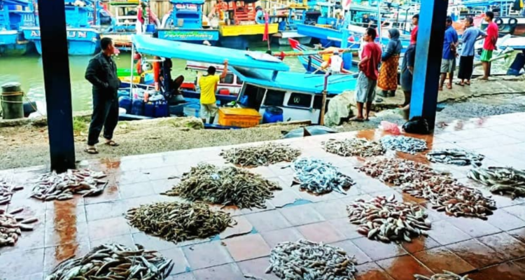 FOTO 10 Sept_Tempat Pelelangan Ikan (TPI) 3 Labuan, Kabupaten Pandeglang, Banten. dok. dinasperikananpandeglang
