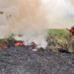 FOTO 12 Sept_Kebakaran hutan dan lahan (Karhutla) yang melanda Desa Silondu, Kecamatan Basi Dondo, Kabupaten Toli-toli, Sulawesi Tengah
