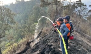FOTO 14 Sept_Tim gabungan melakukan pemadaman dan pembasahan karhutla di kawasan Gunung Bromo, Jawa Timur. bpbdprov