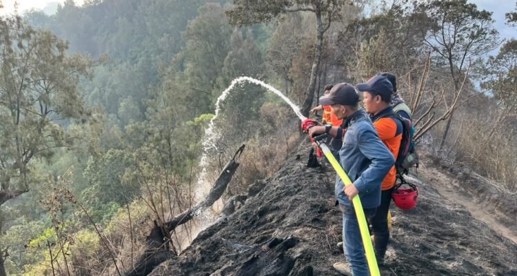 FOTO 14 Sept_Tim gabungan melakukan pemadaman dan pembasahan karhutla di kawasan Gunung Bromo, Jawa Timur. bpbdprov