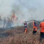 FOTO 15 Sept_Operasi pemadaman darat yang dilakukan oleh BPBD Kabupaten Poso dan tim gabungan di Desa Pasir Putih, Kec. Pamona Selatan, Kab. Poso, Sulawesi Tengah