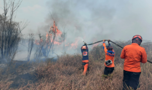 FOTO 15 Sept_Operasi pemadaman darat yang dilakukan oleh BPBD Kabupaten Poso dan tim gabungan di Desa Pasir Putih, Kec. Pamona Selatan, Kab. Poso, Sulawesi Tengah