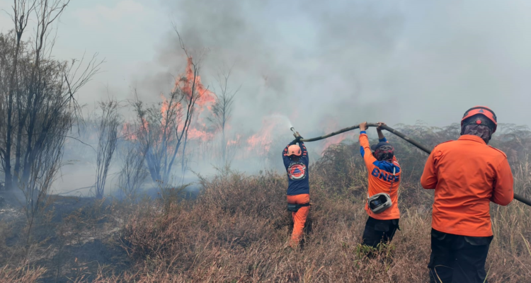 FOTO 15 Sept_Operasi pemadaman darat yang dilakukan oleh BPBD Kabupaten Poso dan tim gabungan di Desa Pasir Putih, Kec. Pamona Selatan, Kab. Poso, Sulawesi Tengah