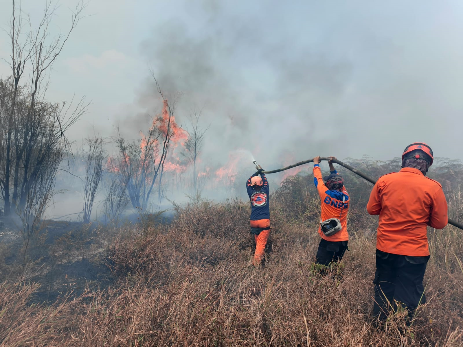 FOTO 15 Sept_Operasi pemadaman darat yang dilakukan oleh BPBD Kabupaten Poso dan tim gabungan di Desa Pasir Putih, Kec. Pamona Selatan, Kab. Poso, Sulawesi Tengah