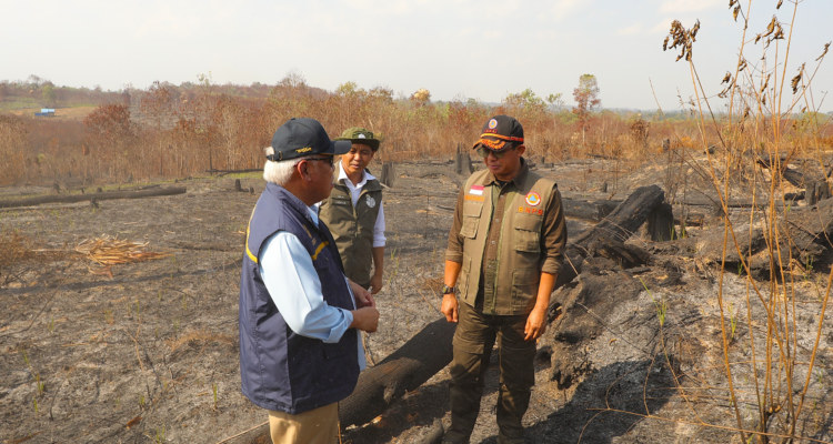 FOTO 15 Sept_Peninjauan penanganan kebakaran hutan dan lahan (karhutla) di Bukit Tengkorak, Kec Sepaku, Kab Penajam Paser Utara (PPU), Kalimantan Timur