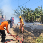 FOTO 16 Sept_Tim Gabungan berupaya padamkan kebakaran lahan di dua kecamatan, yakni Paleteang dan Watang Sawitto, Kab. Pinrang, Sulsel
