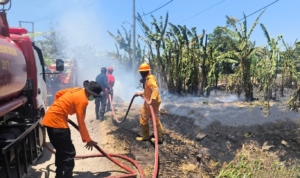 FOTO 16 Sept_Tim Gabungan berupaya padamkan kebakaran lahan di dua kecamatan, yakni Paleteang dan Watang Sawitto, Kab. Pinrang, Sulsel