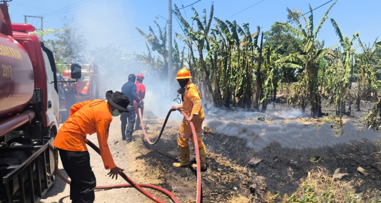 FOTO 16 Sept_Tim Gabungan berupaya padamkan kebakaran lahan di dua kecamatan, yakni Paleteang dan Watang Sawitto, Kab. Pinrang, Sulsel