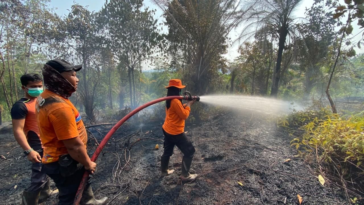 FOTO 18 Sept_Lahan seluas dua hektare yang dilalap si jago merah di Desa Puncak Indah, Kecamatan Malili, Kabupaten Luwu Timur, Provinsi Sulsel