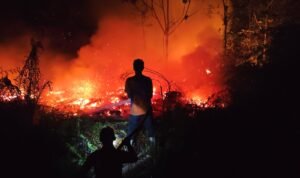 FOTO 2 Sept_Petugas melakukan upaya pemadaman lahan seluas 55 hektare yang terbakar di wilayah Kabupaten Bulungan, Kalimantan Utara. bpbdkabupatenbulungan