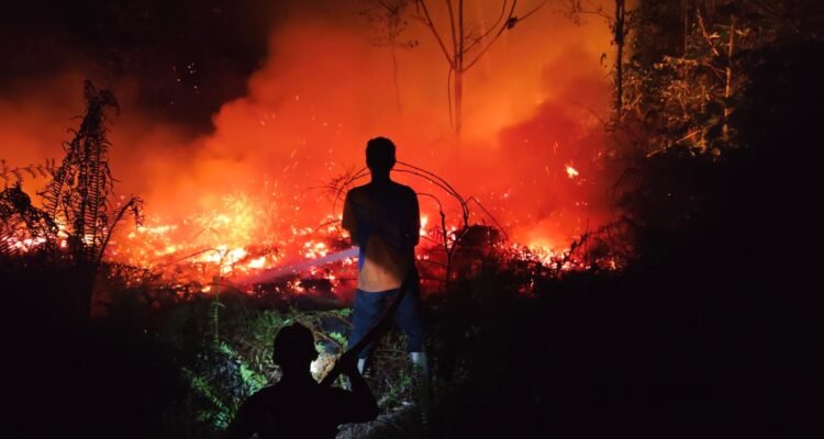 FOTO 2 Sept_Petugas melakukan upaya pemadaman lahan seluas 55 hektare yang terbakar di wilayah Kabupaten Bulungan, Kalimantan Utara. bpbdkabupatenbulungan