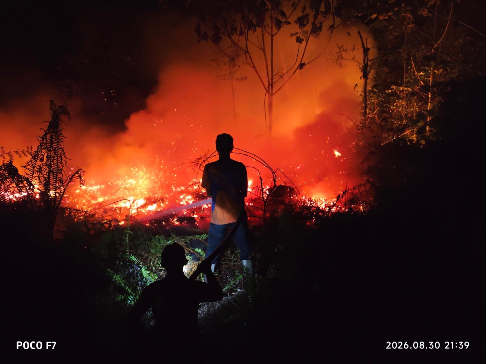FOTO 2 Sept_Petugas melakukan upaya pemadaman lahan seluas 55 hektare yang terbakar di wilayah Kabupaten Bulungan, Kalimantan Utara. bpbdkabupatenbulungan