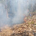 FOTO 21 Sept_Kondisi lahan seluas 5 hektar yang terbakar di Kabupaten Kebumen, Jawa Tengah. dok. bpbdkabupatenkebumen 1
