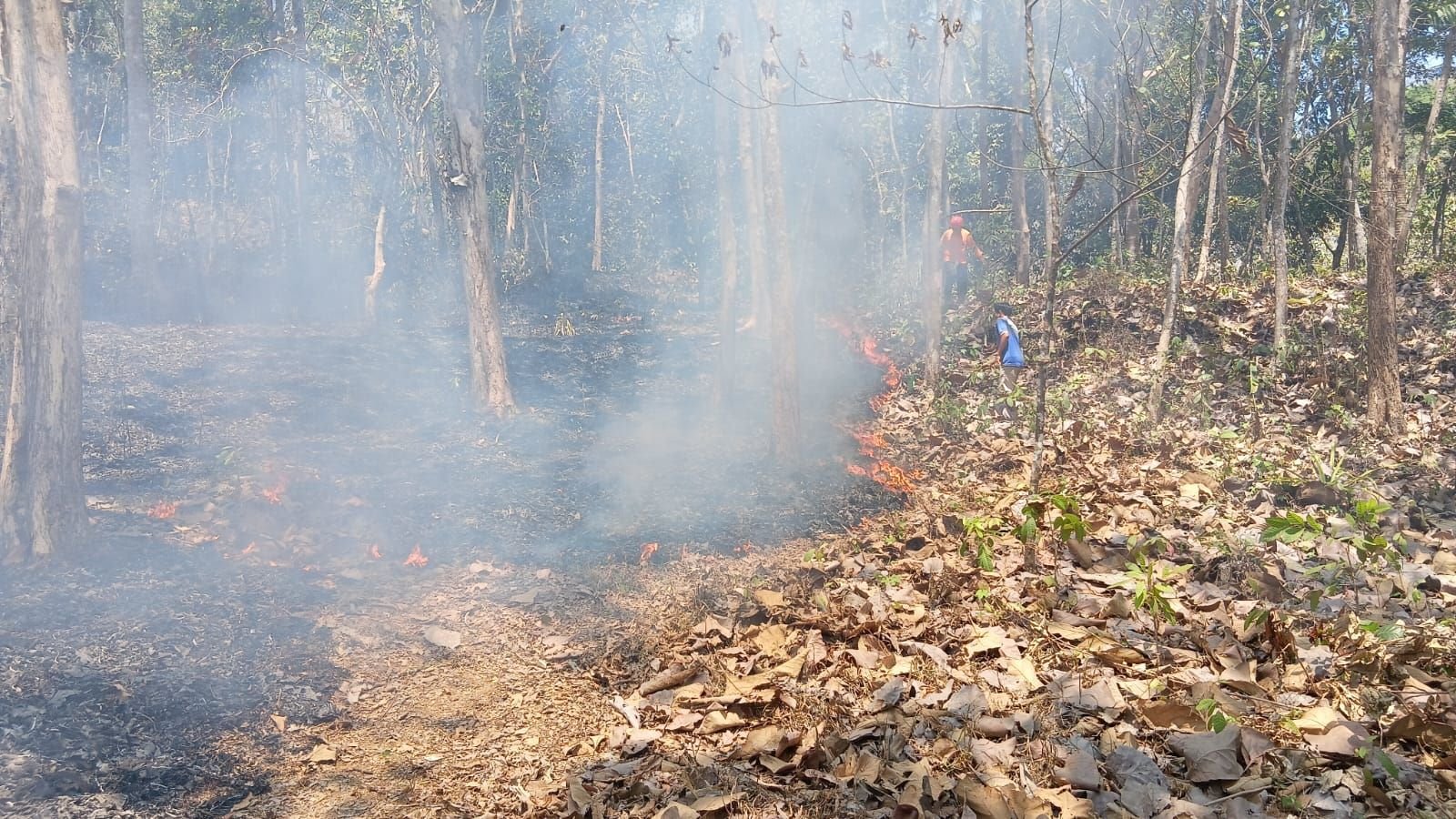 FOTO 21 Sept_Kondisi lahan seluas 5 hektar yang terbakar di Kabupaten Kebumen, Jawa Tengah. dok. bpbdkabupatenkebumen 1