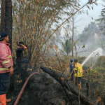 FOTO 23 Sept_Petugas gabungan memadamkan lahan yang di lalap api di Desa Sima, Kecamatan Moga, Kab Pemalang, Prov Jawa Tengah INI