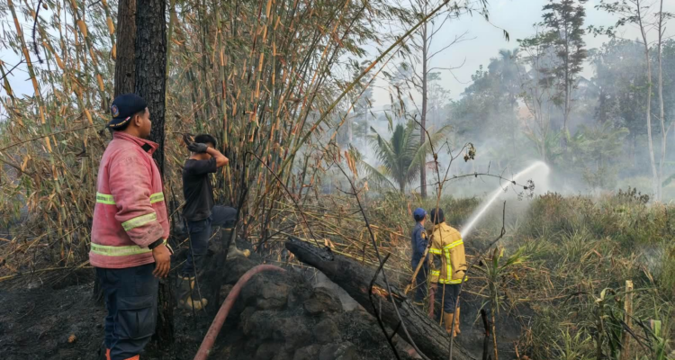 FOTO 23 Sept_Petugas gabungan memadamkan lahan yang di lalap api di Desa Sima, Kecamatan Moga, Kab Pemalang, Prov Jawa Tengah INI