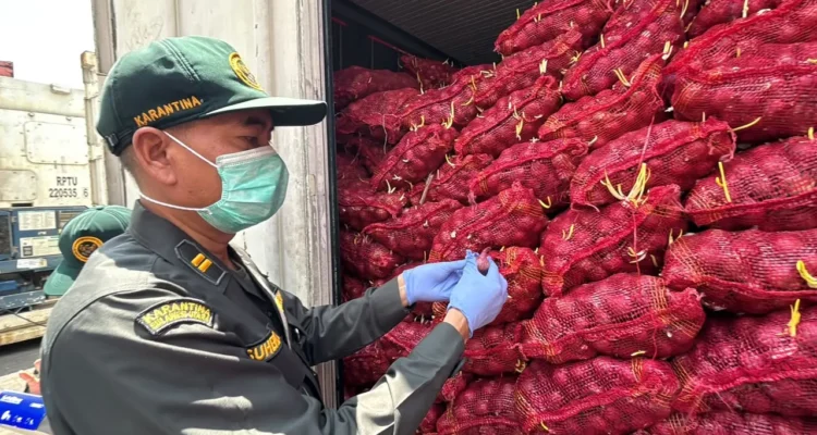 FOTO 24 Sept_Sebanyak 30 ton bawang merah asal Jakarta ke Sulawesi Utara setelah komoditas tersebut ditemukan dalam kondisi busuk, berjamur, dan bertunas. barantin 1