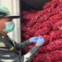 FOTO 24 Sept_Sebanyak 30 ton bawang merah asal Jakarta ke Sulawesi Utara setelah komoditas tersebut ditemukan dalam kondisi busuk, berjamur, dan bertunas. barantin 1