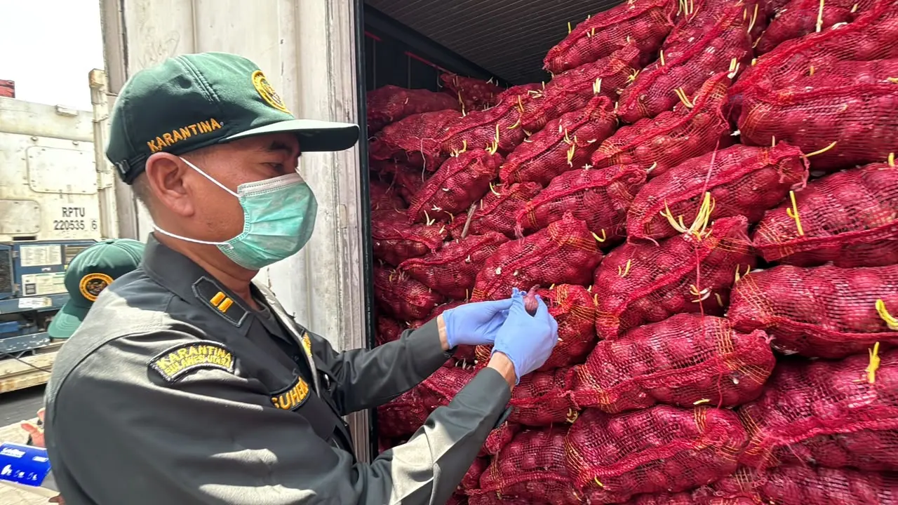 FOTO 24 Sept_Sebanyak 30 ton bawang merah asal Jakarta ke Sulawesi Utara setelah komoditas tersebut ditemukan dalam kondisi busuk, berjamur, dan bertunas. barantin 1