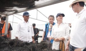 FOTO 25 Sept_Kunjungan ke lokasi budi daya rumput laut Gracilaria di Sidoarjo, Jawa Timur. dok. kkp