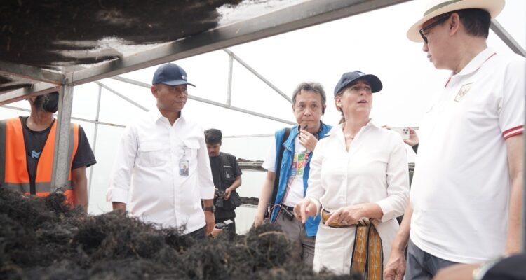 FOTO 25 Sept_Kunjungan ke lokasi budi daya rumput laut Gracilaria di Sidoarjo, Jawa Timur. dok. kkp