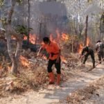 FOTO 27 Sept_Lahan terdampak kebakaran di Gunung Bancak, Dukuh Sambiroto Desa Garon, Kecamatan Kawedanan, Kabupaten Magetan, Provinsi Jawa Timur. dok