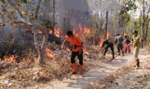 FOTO 27 Sept_Lahan terdampak kebakaran di Gunung Bancak, Dukuh Sambiroto Desa Garon, Kecamatan Kawedanan, Kabupaten Magetan, Provinsi Jawa Timur. dok