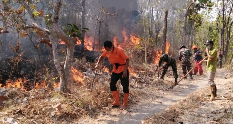 FOTO 27 Sept_Lahan terdampak kebakaran di Gunung Bancak, Dukuh Sambiroto Desa Garon, Kecamatan Kawedanan, Kabupaten Magetan, Provinsi Jawa Timur. dok