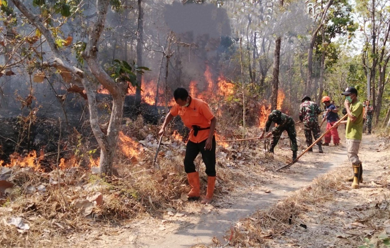 FOTO 27 Sept_Lahan terdampak kebakaran di Gunung Bancak, Dukuh Sambiroto Desa Garon, Kecamatan Kawedanan, Kabupaten Magetan, Provinsi Jawa Timur. dok