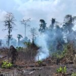 FOTO 30 Sept_Kebakaran hutan dan lahan (karhutla) di Desa Pampalu, Kecamatan Beo Selatan, Kabupaten Kepulauan Talaud, Sulawesi Utara. dok. bpbd